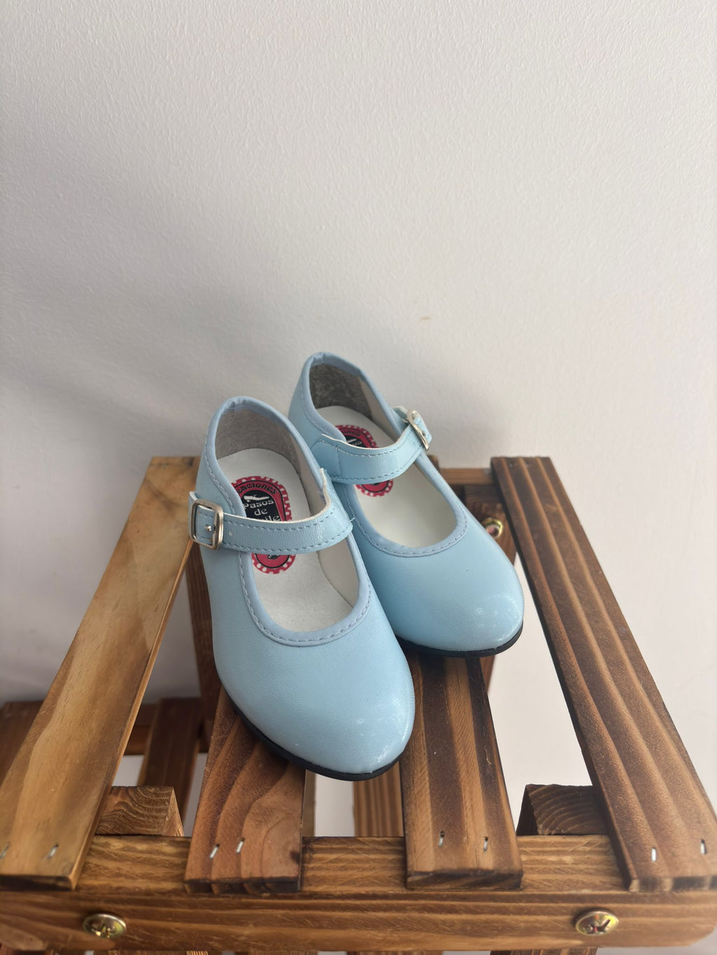 Zapatos de flamenca