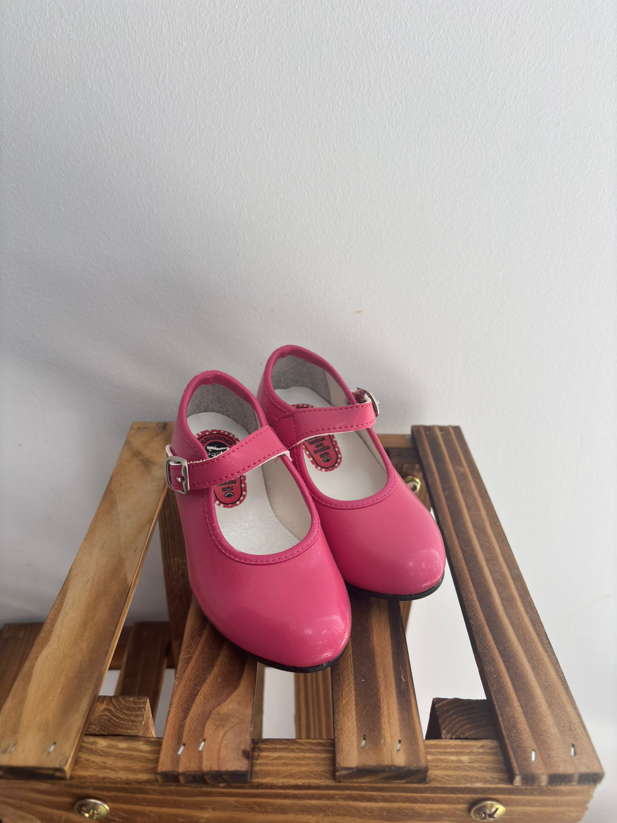 Zapatos de flamenca