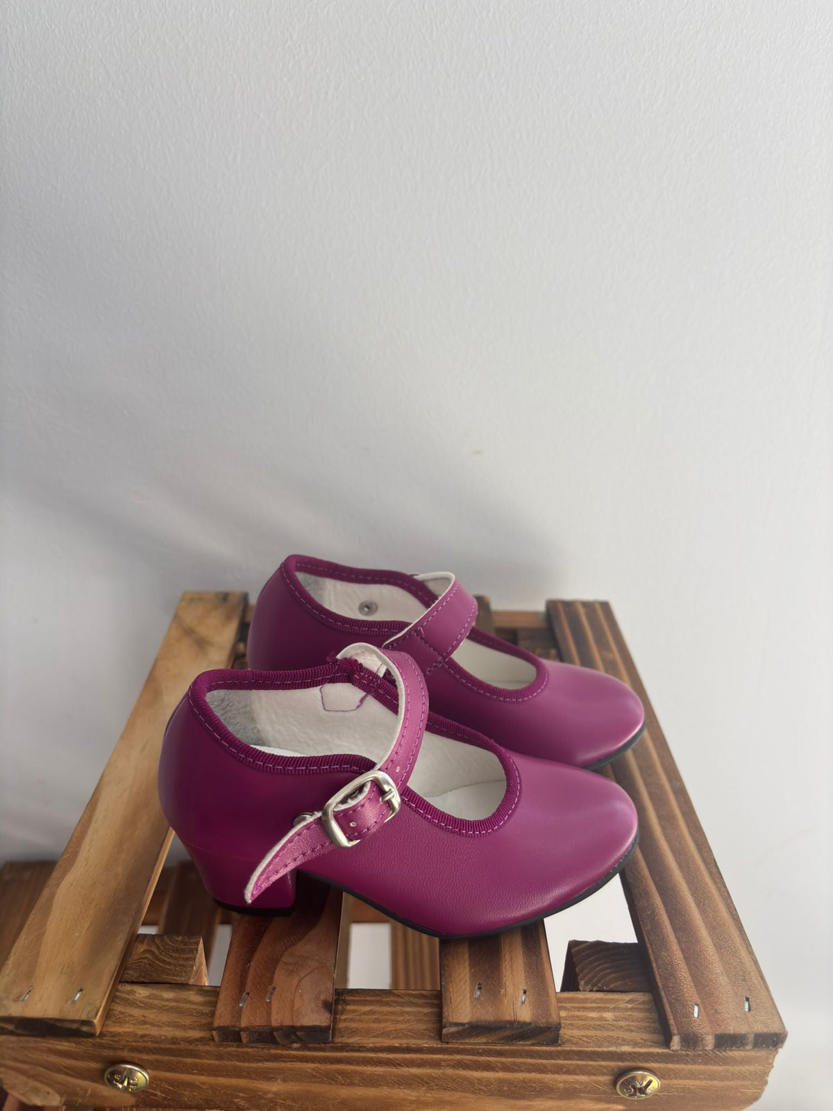 Zapatos de flamenca