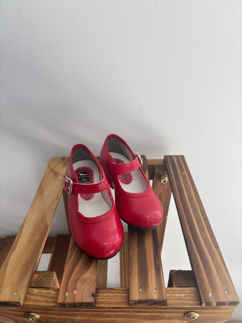 Zapatos flamenca