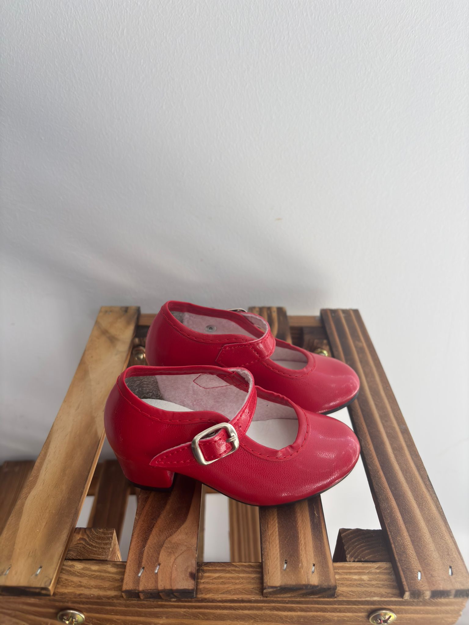 Zapatos flamenca