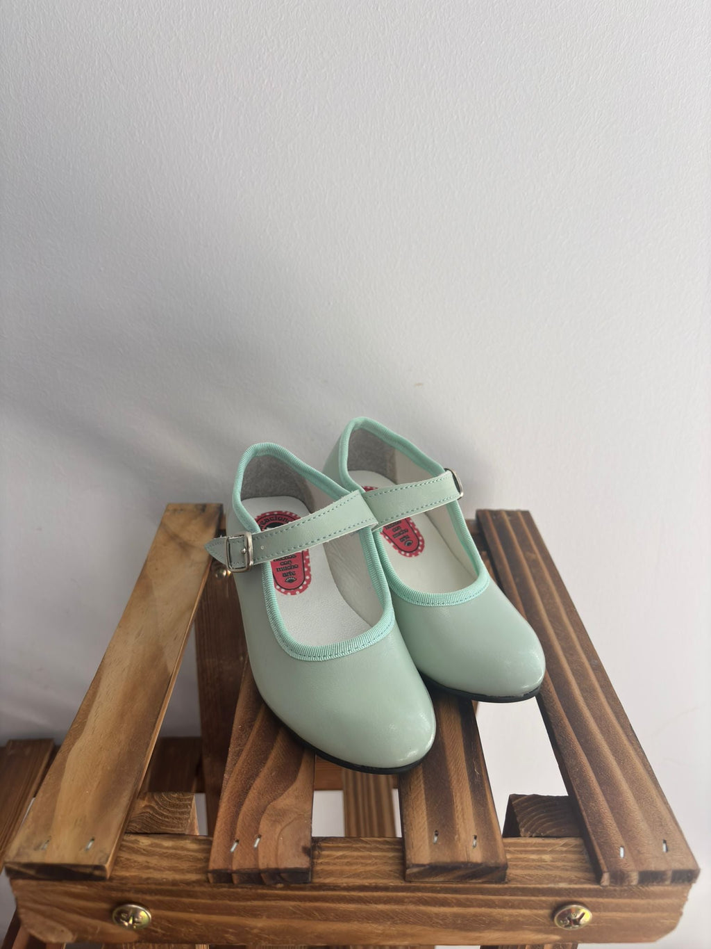 Flamenco shoes