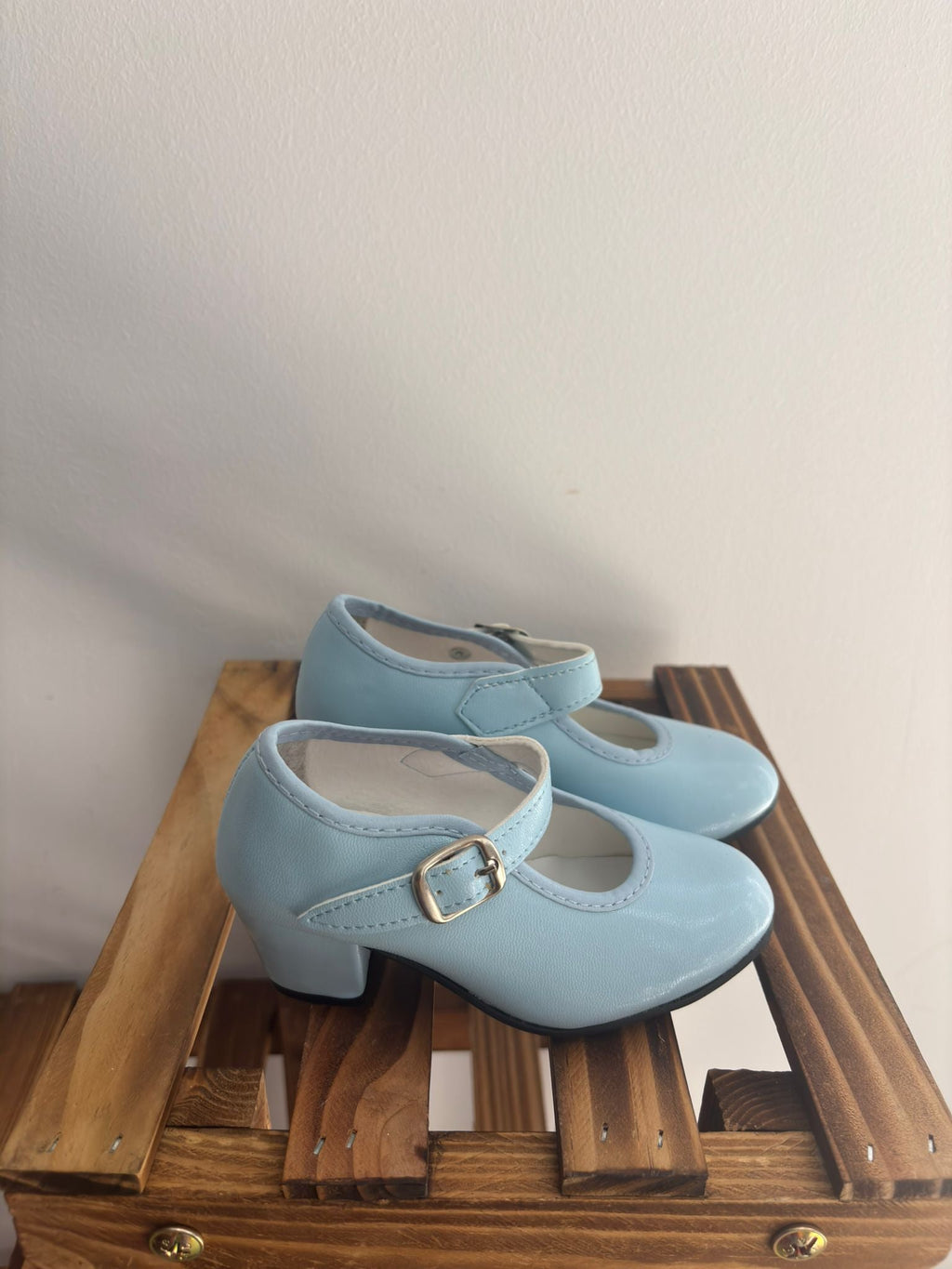 Zapatos de flamenca