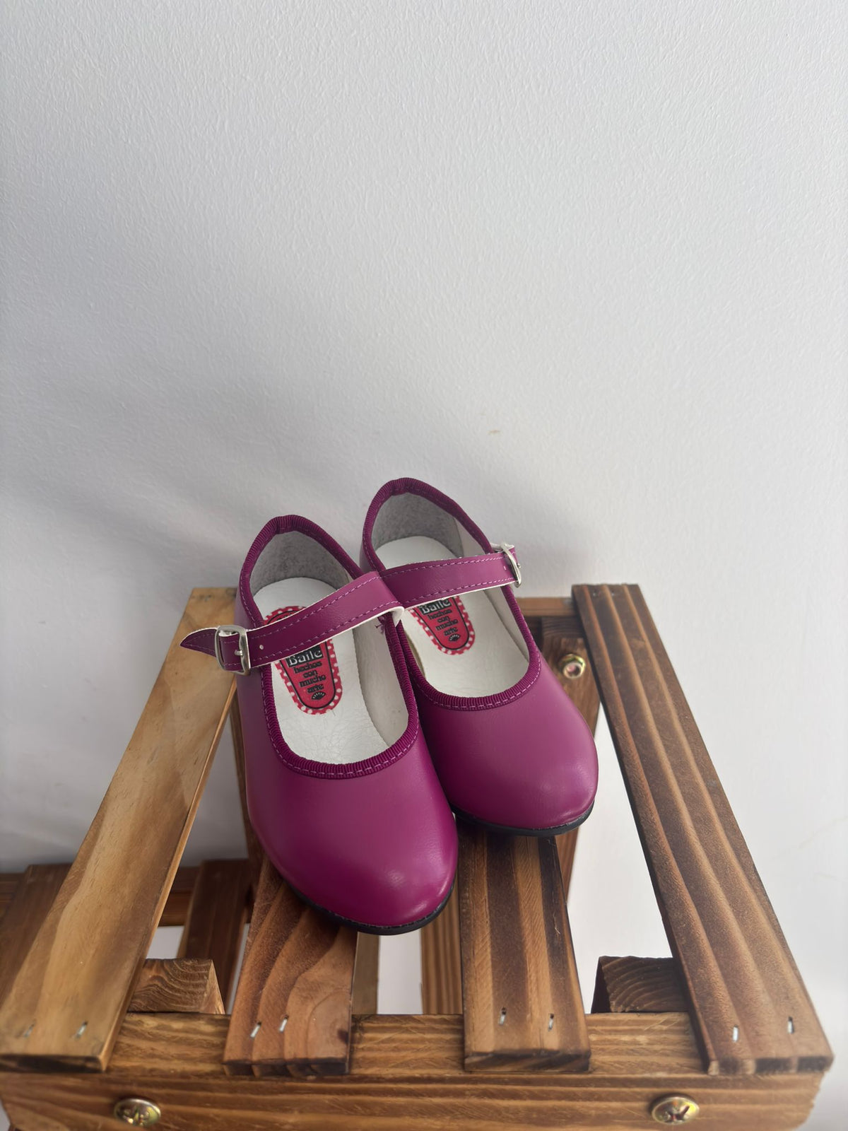 Zapatos de flamenca