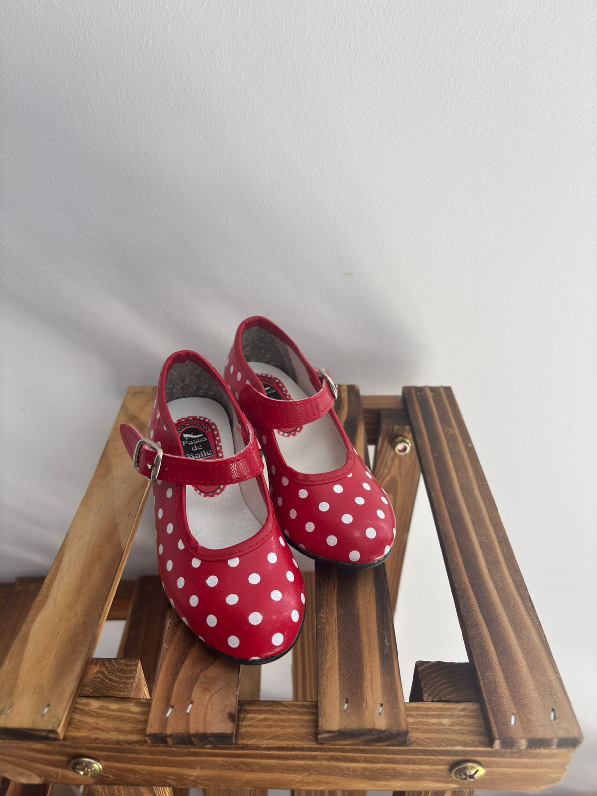 Zapatos de flamenca