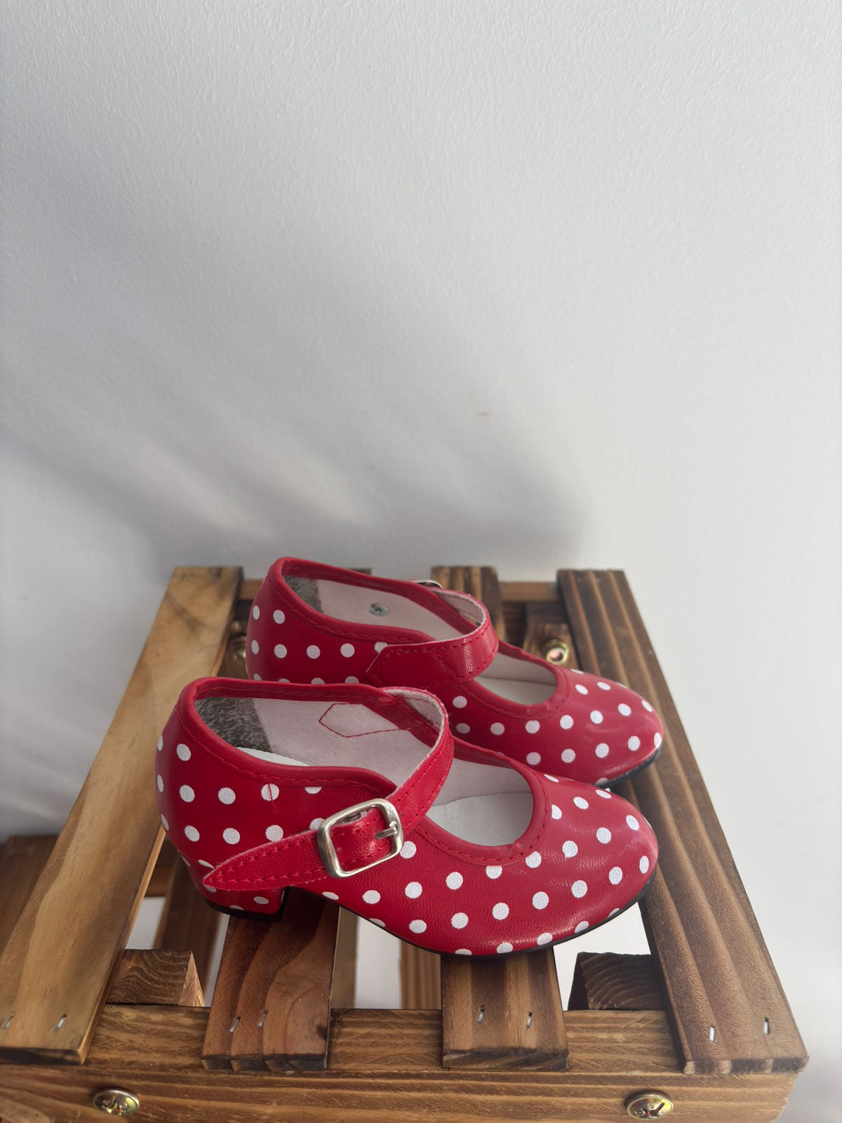 Zapatos de flamenca